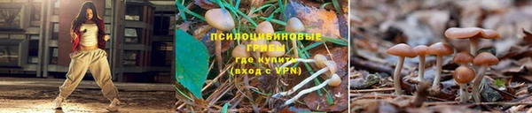 не бодяженный Армянск