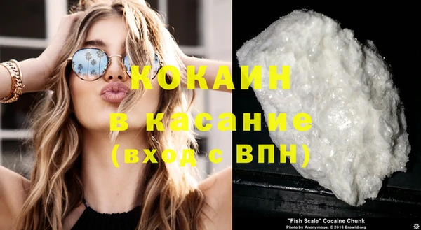 гашик Арсеньев