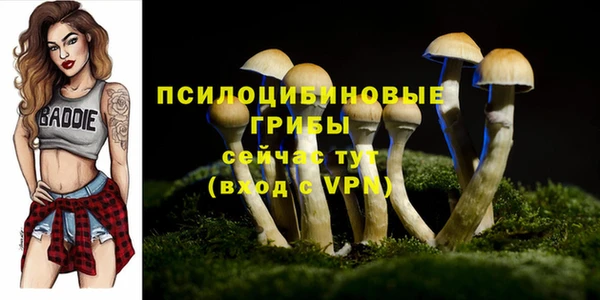 ECSTASY Баксан